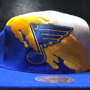 St. Louis Blues Nhl paintbrush